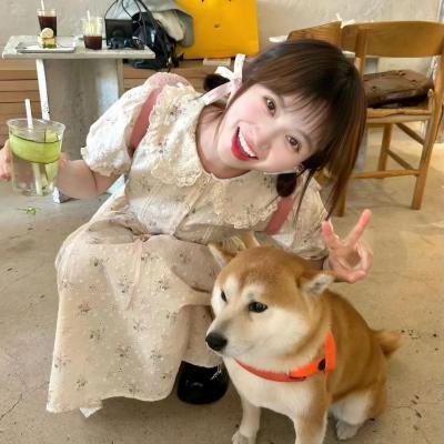 升龙渴望